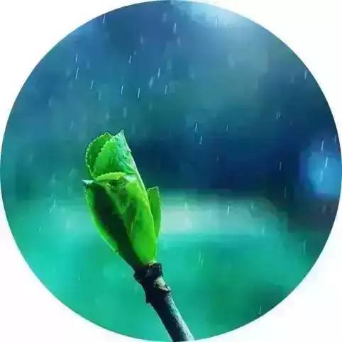 雨水节气的诗句（关于二十四节气的古诗词）