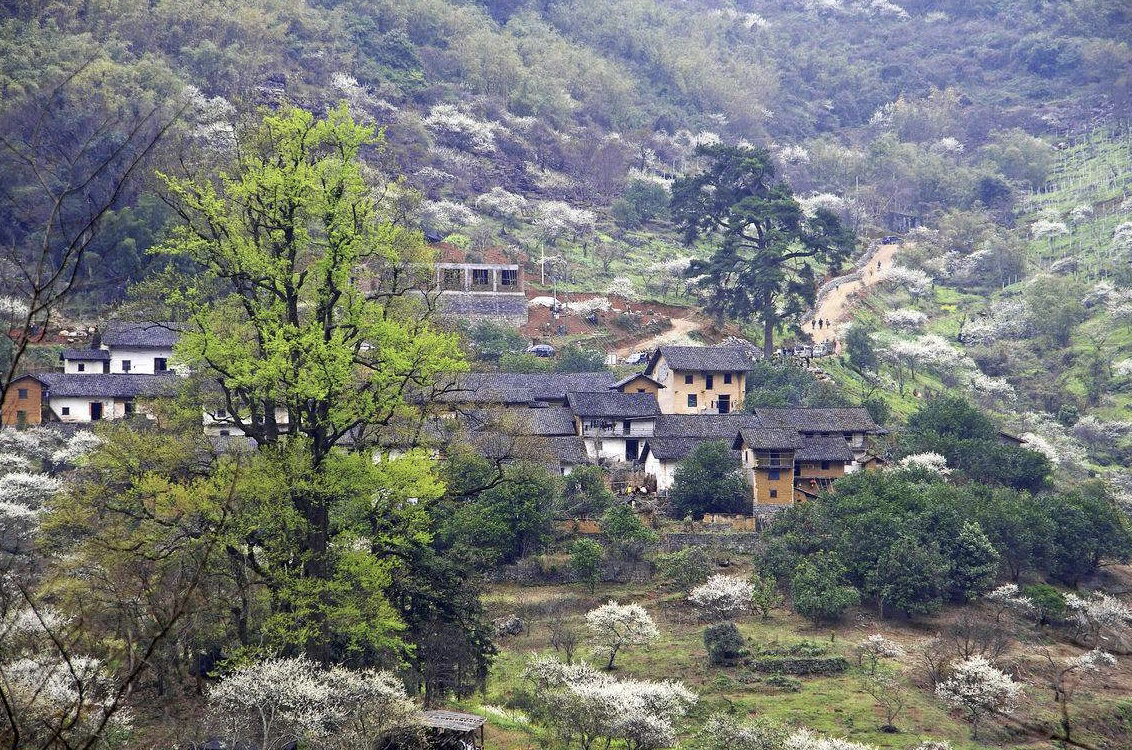 秋天怀念家乡感慨的句子（表达对故乡眷念的句子）