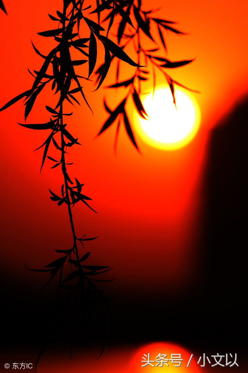 感慨亲人去世的心情句子（思念已故亲人的伤心说说）