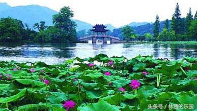 描写西湖的诗句古诗大全（赞美西湖的诗词名句）