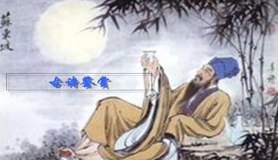 鹧鸪天苏轼翻译（鹧鸪天全文解析）
