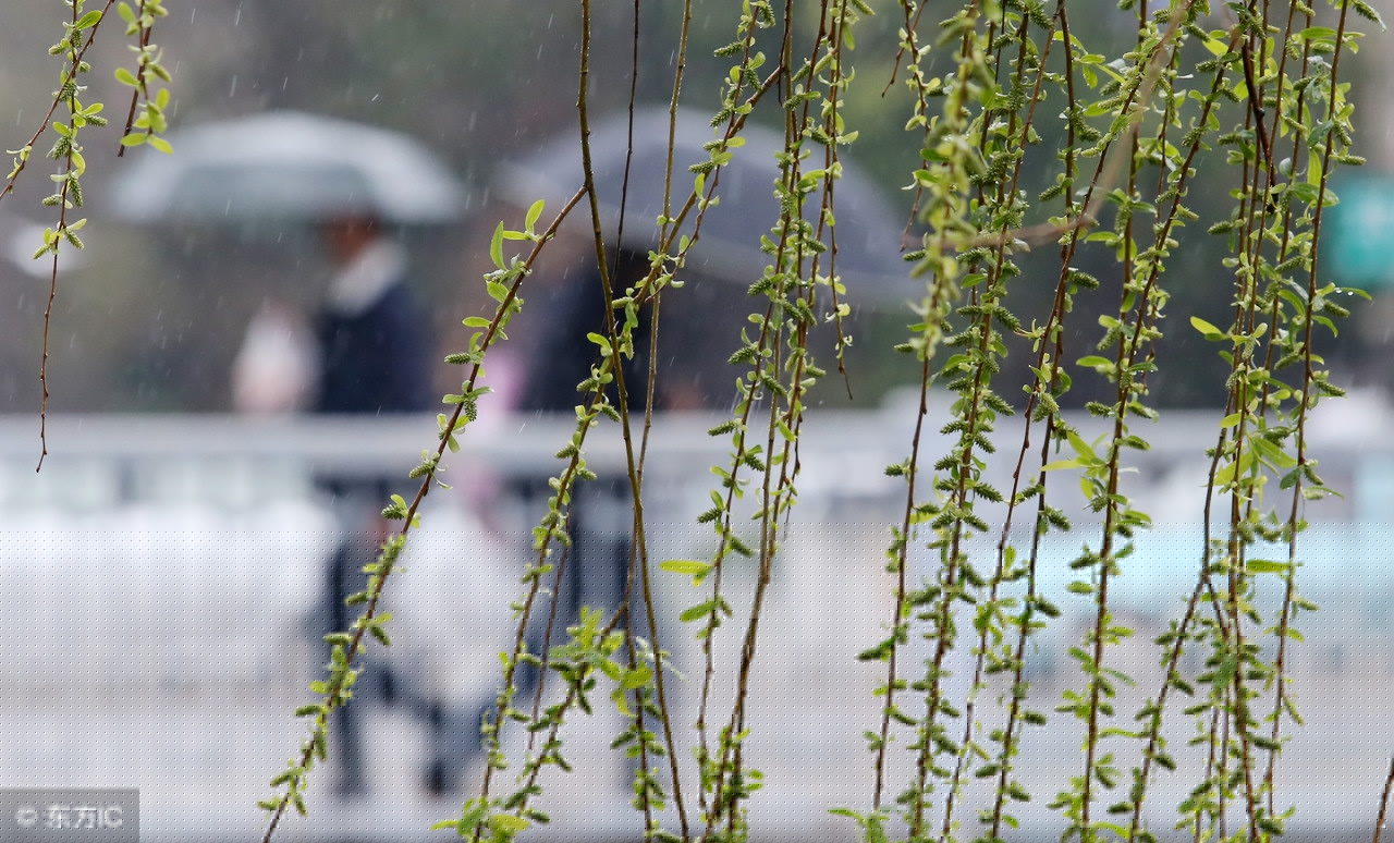 描写春雨的诗句有哪些（十首最美描写春雨的诗词）