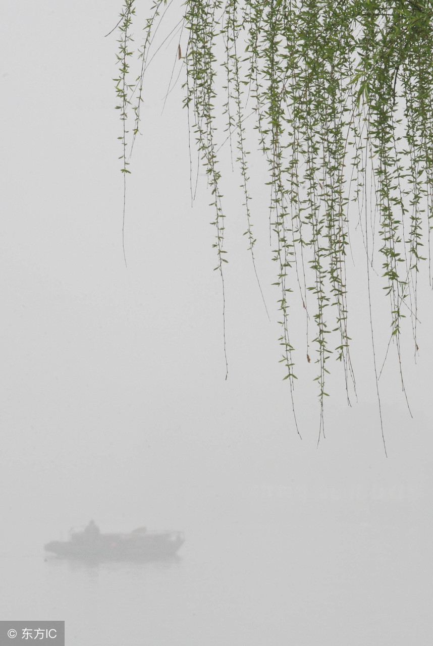 描写春雨的诗句有哪些（十首最美描写春雨的诗词）