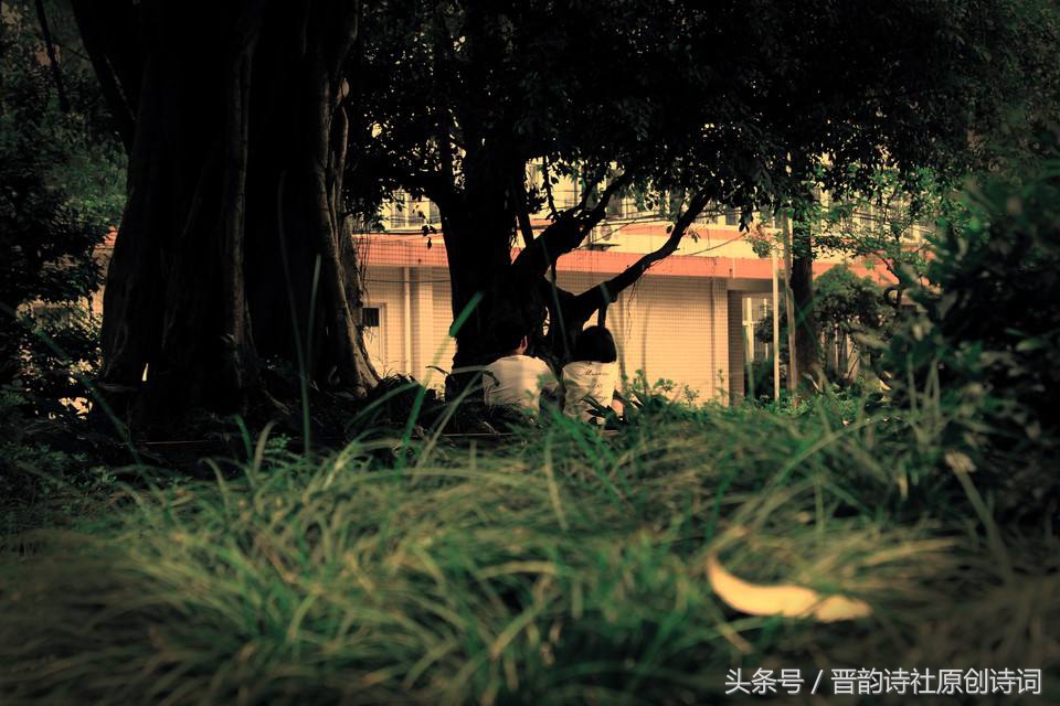 现代经典散文诗欣赏50篇（现代散文诗精选）