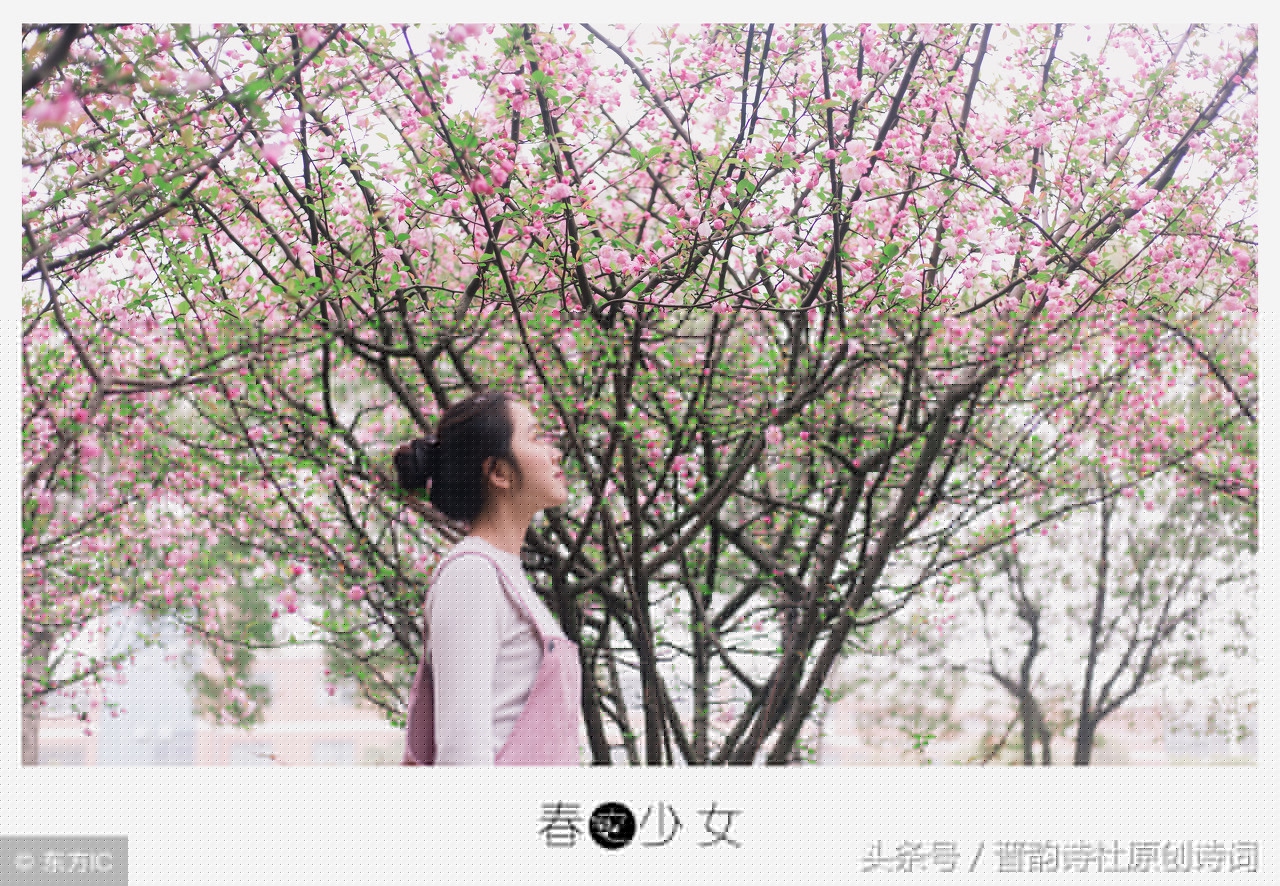 现代经典散文诗欣赏50篇（现代散文诗精选）