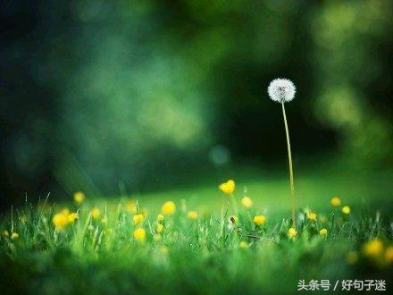 看淡一切的经典句子（有深度有涵养的句子）