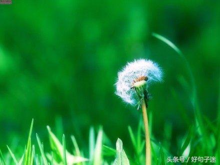 看淡一切的经典句子（有深度有涵养的句子）