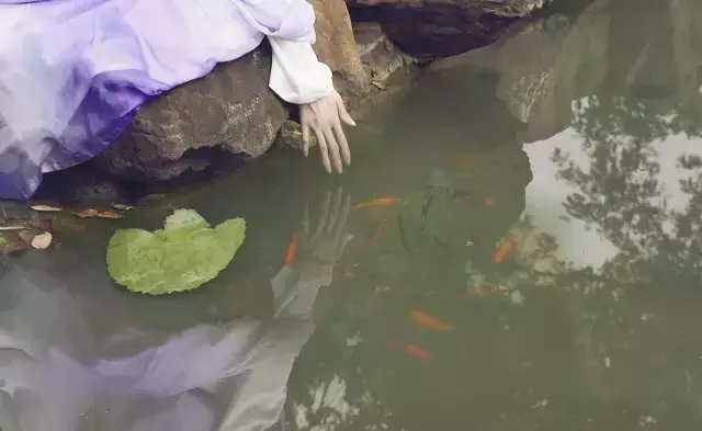 三月三的古诗有哪些（关于三月三的谚语 ）