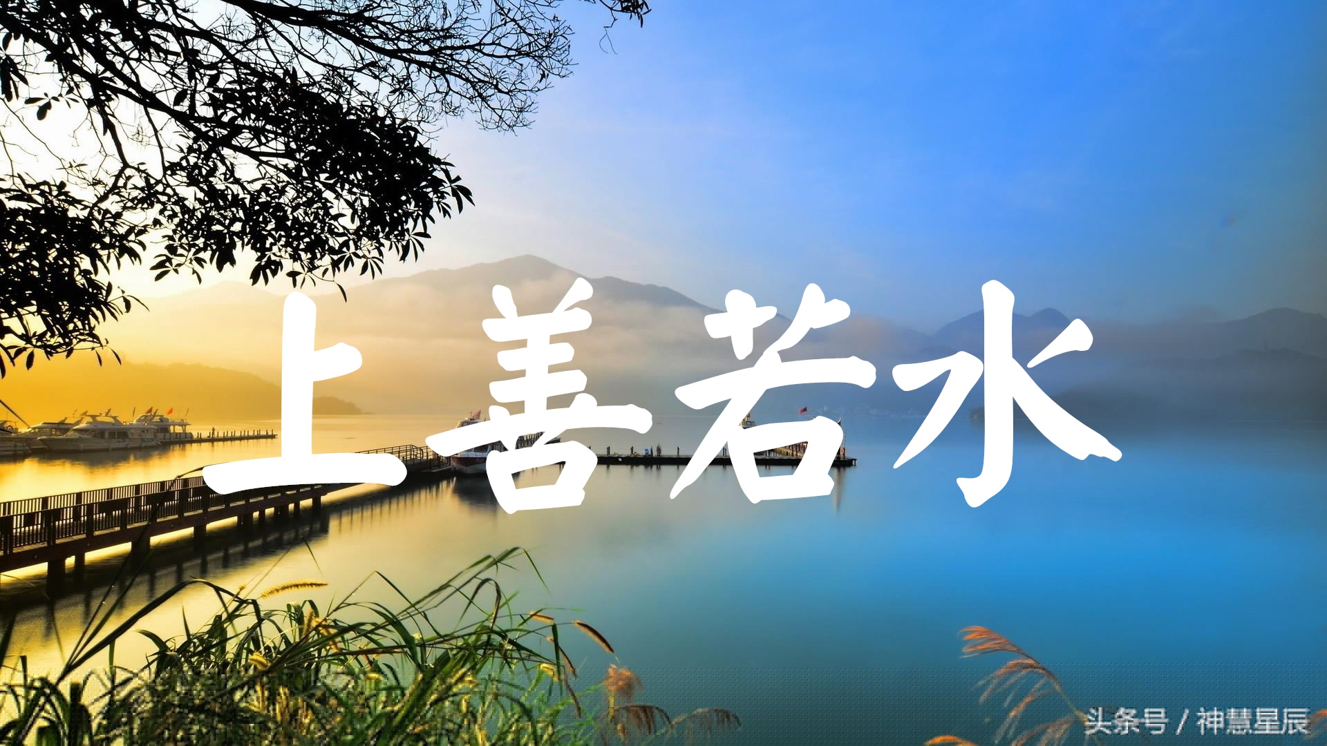 上善若水原文及翻译及注释(上善若水是什么)