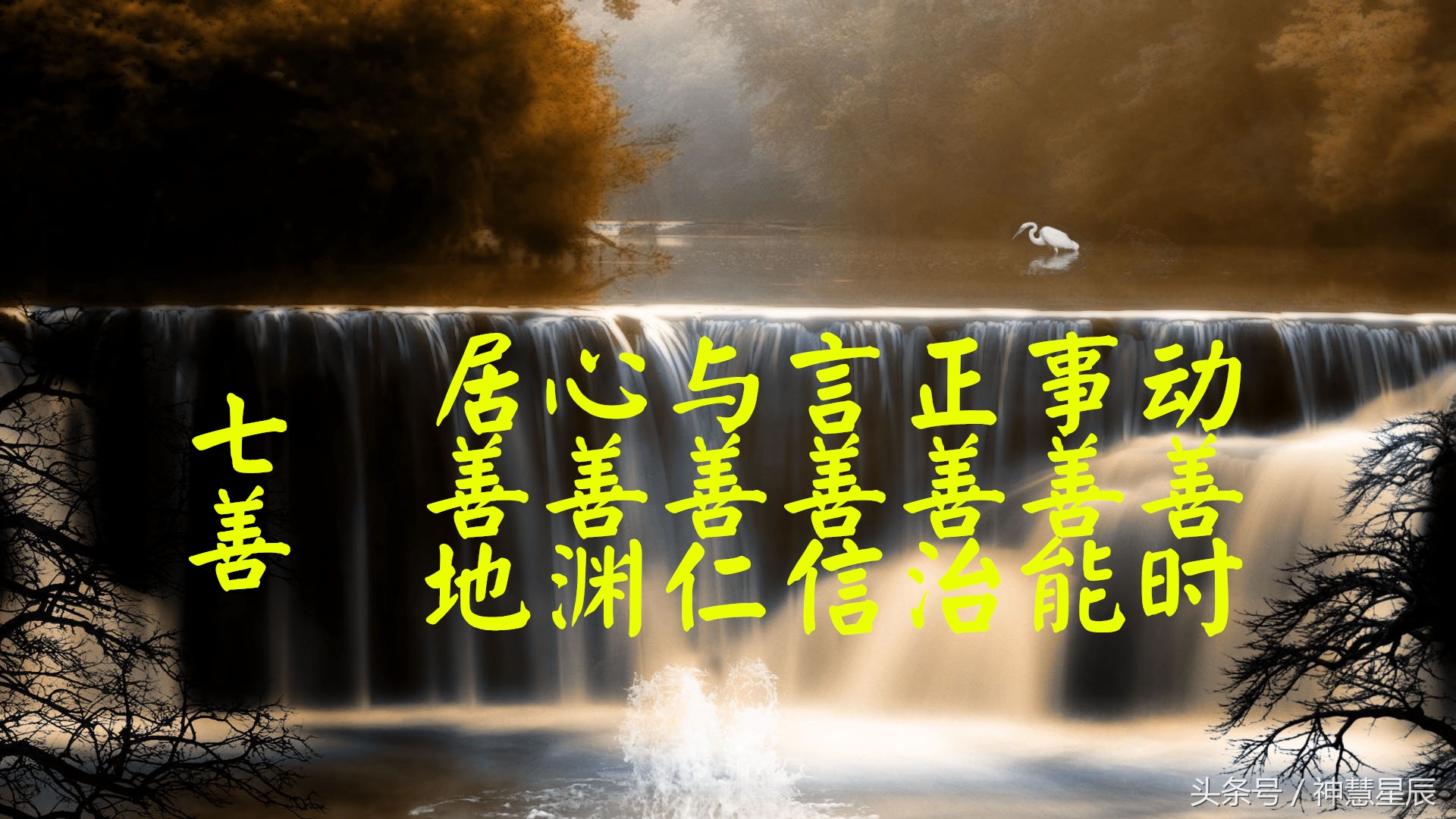上善若水原文及翻译及注释(上善若水是什么)