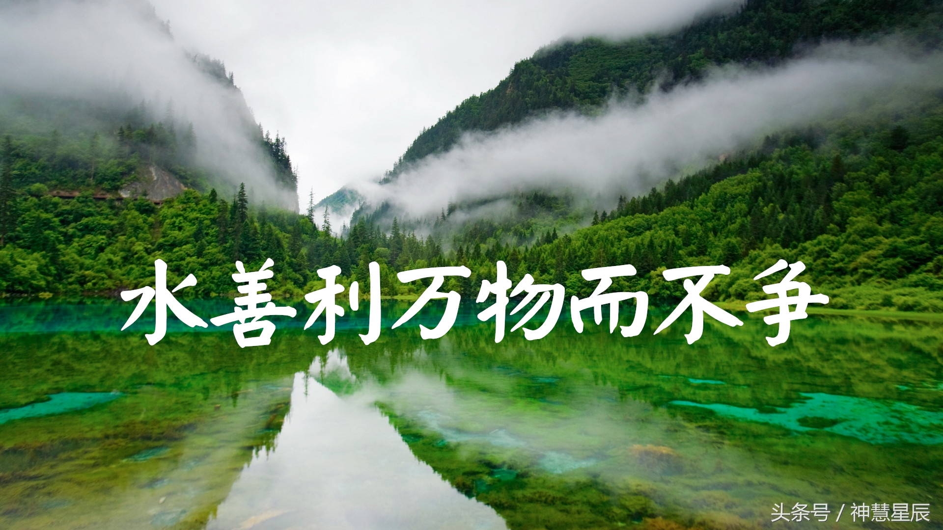 上善若水原文及翻译及注释(上善若水是什么)