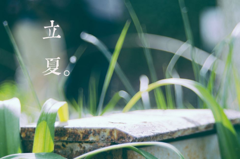 描写立夏的唯美诗句（关于夏天的优美段落）