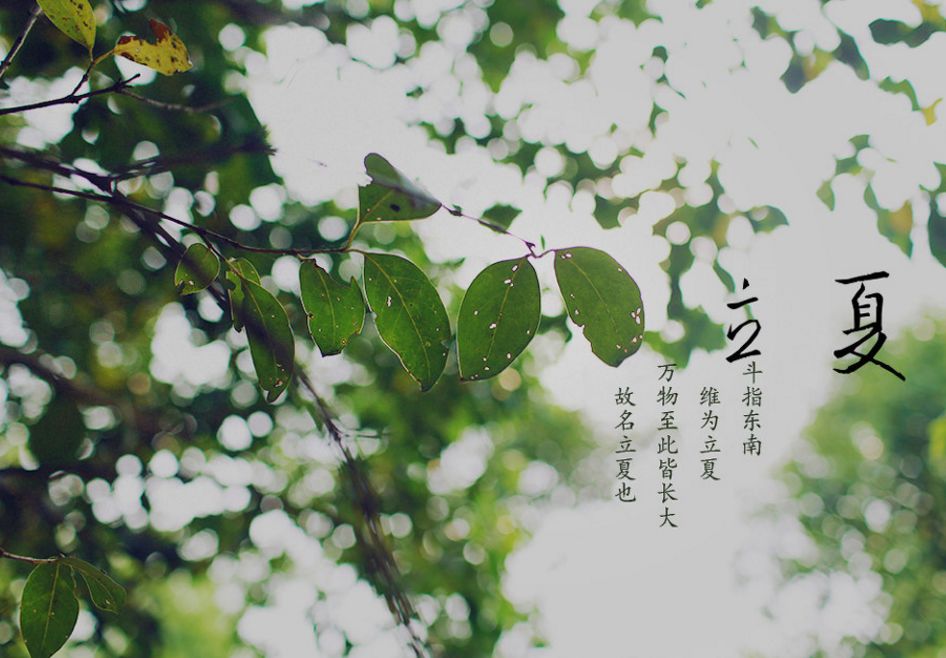 立夏的诗句唯美（关于立夏的美好诗句）