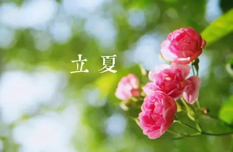描写立夏的唯美诗句（关于夏天的优美段落）