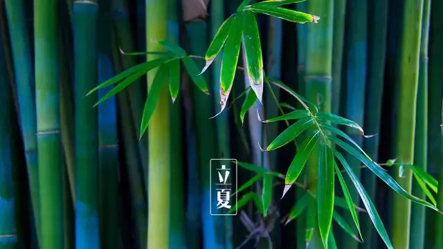 立夏诗句古诗大全（关于立夏的五言古诗）