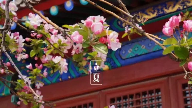 描写有关立夏的古诗（立夏的诗句唯美）