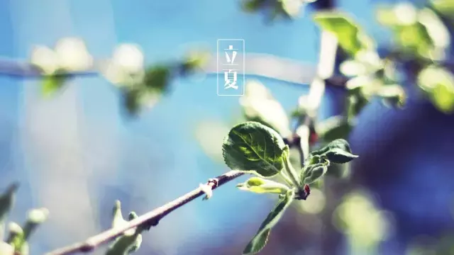 描写有关立夏的古诗（立夏的诗句唯美）