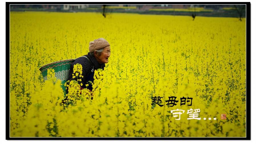 怀念母亲的诗句古诗（怀念母亲的古诗10首）