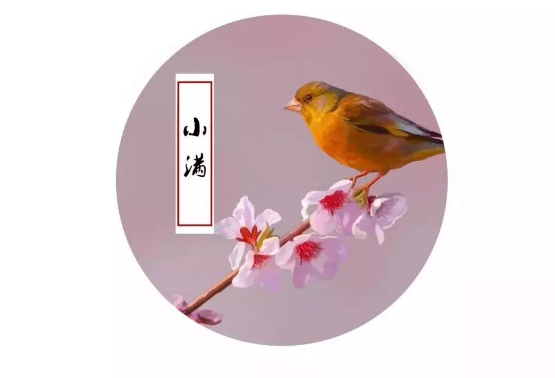 小满诗句古诗大全（小满的寓意和象征）