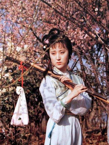 一朝春尽红颜老全诗（林黛玉葬花词全文赏析）