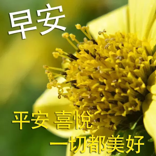 祝福别人事业上升的话（事业前景越来越好的精美句子）