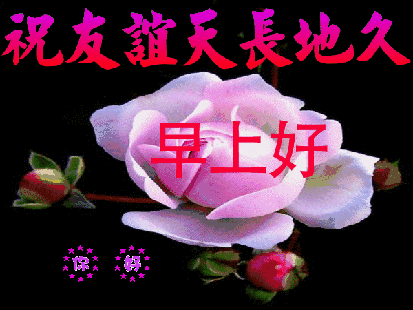 祝福别人事业上升的话（事业前景越来越好的精美句子）
