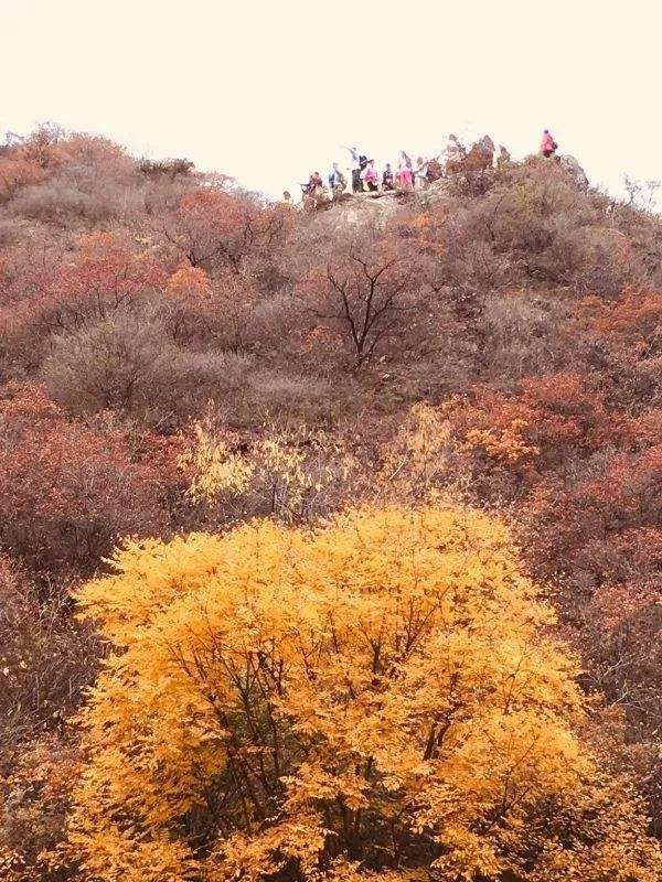 经典登山的诗句（适合爬山发朋友圈的短句子）