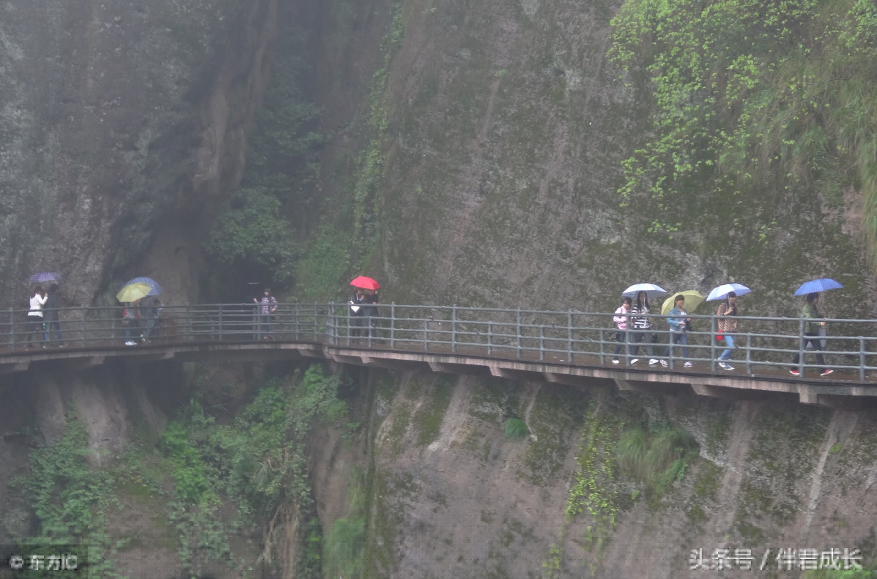 山中留客张旭翻译（山中留客张旭阅读答案）
