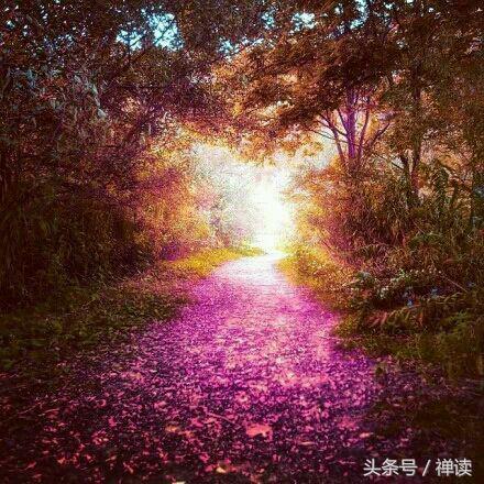 想要忘记过去重新开始的句子（表示释怀和放下的句子）