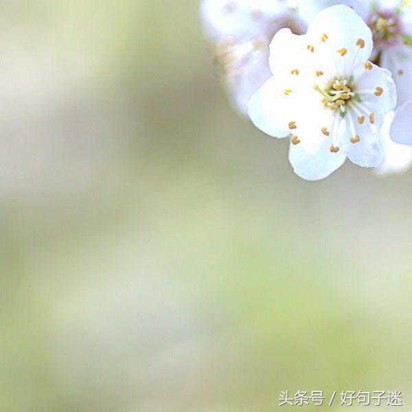 珍惜同学情谊的句子（表现浓浓同学情的句子）