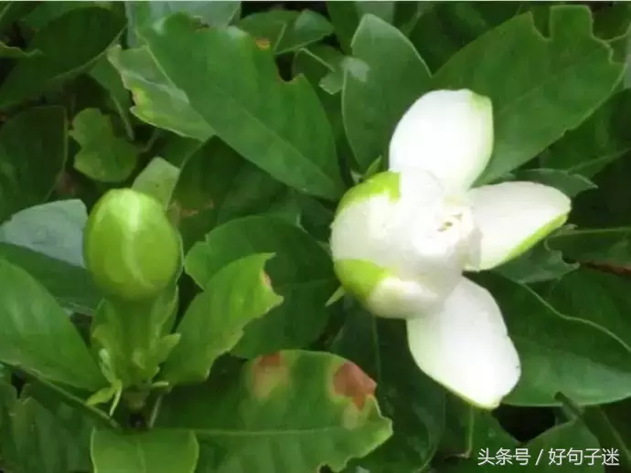 致自己朋友圈励志说说（鼓励自己的经典短句）