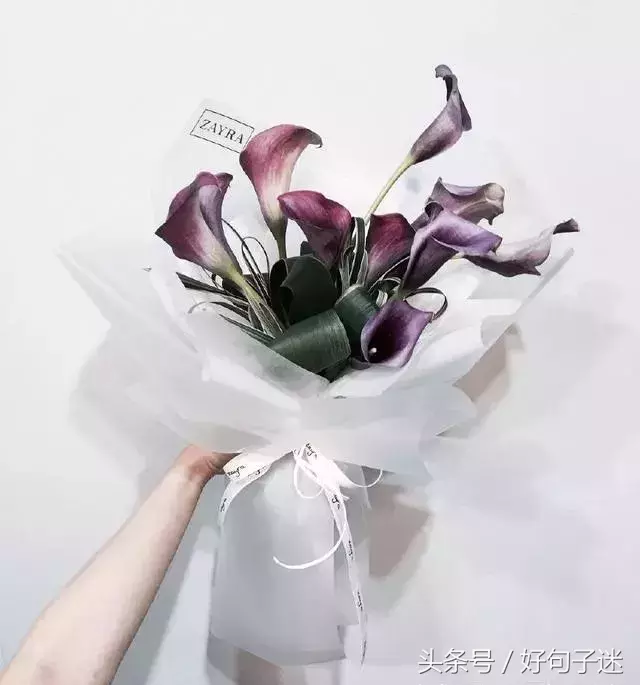好的爱情经典语录（向往唯美爱情的心情说说）