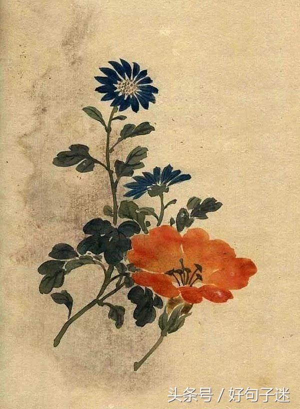 古风唯美的句子摘抄（阳光简短励志唯美语录）