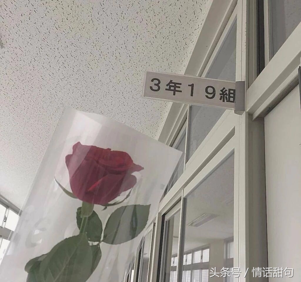 最暖心的七夕浪漫情话大全（情人节最暖心的句子）