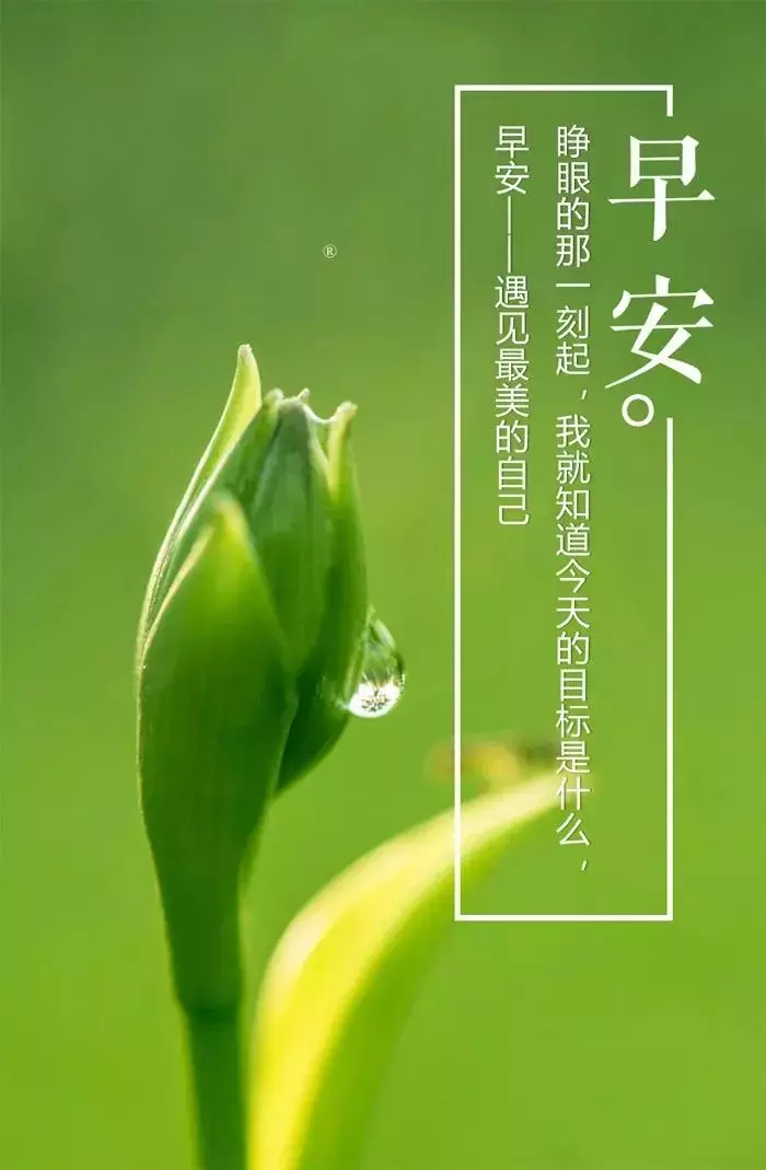 励志语录简短正能量图片（充满正能量的励志句）