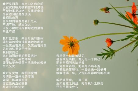 励志的现代诗歌简短（积极向上的现代诗短诗）