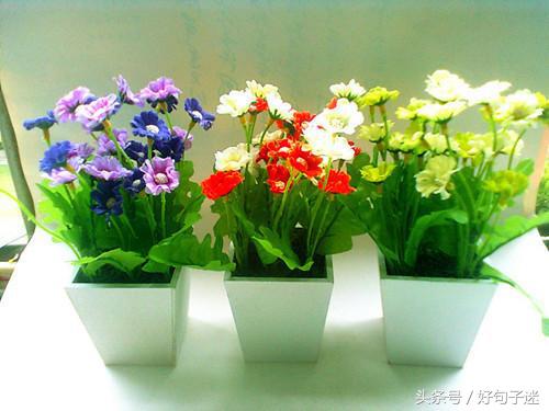 句子唯美简短霸气（2021最精辟最火的句子）