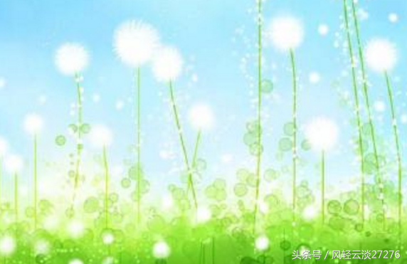 情感类文章素材精选大全（100-2000字适合夜读情感的文章）
