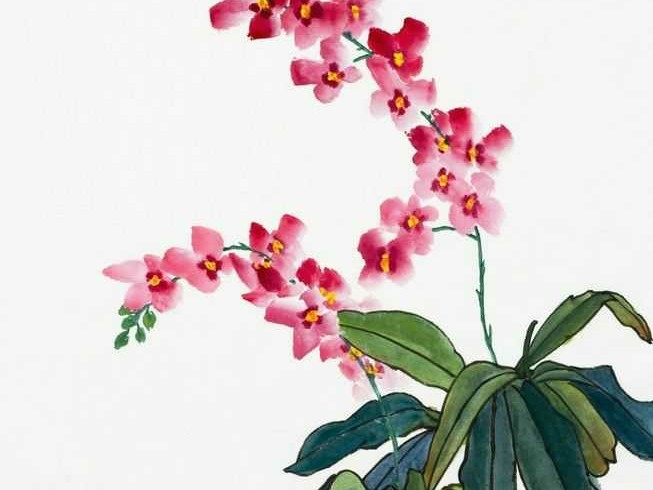 描写兰花的诗句淡雅（兰花诗句最出名诗词）