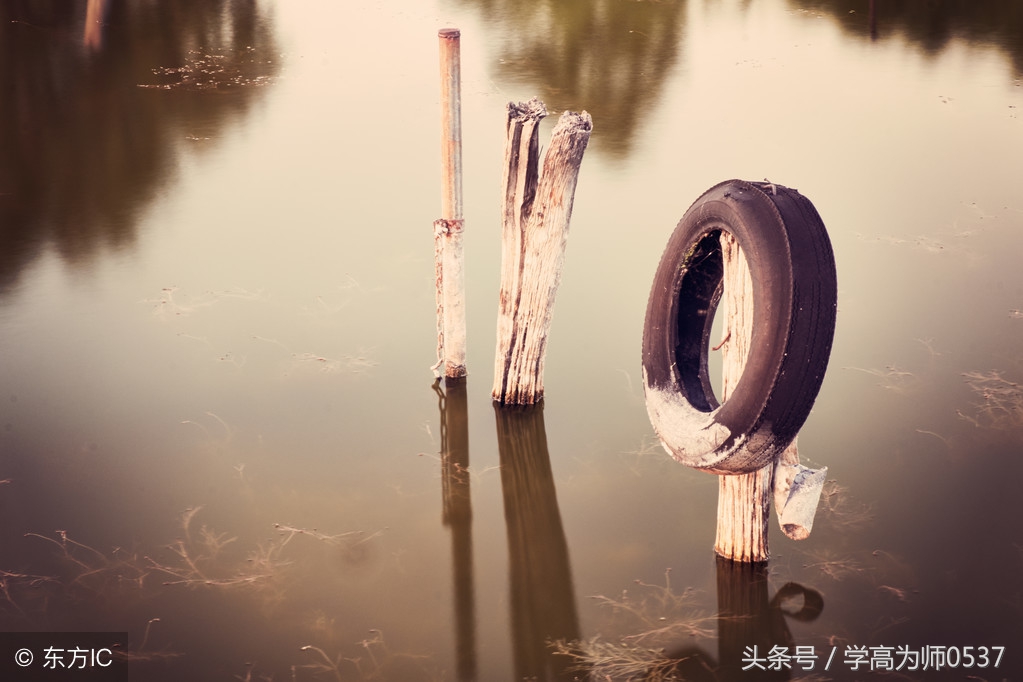 描写乡村生活的诗词（乡村生活的优美句子）