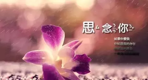 人生句子表达心情的说说短语（感悟人生说说心情短语）