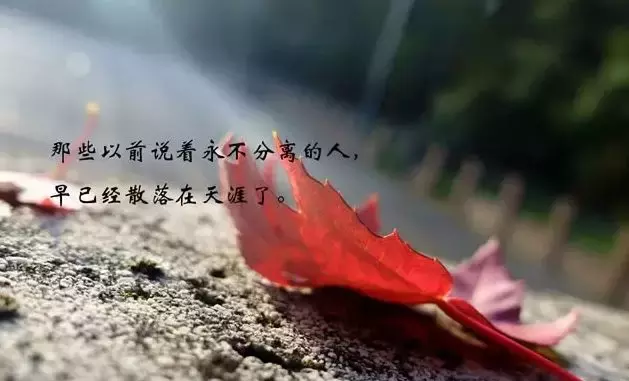 人生句子表达心情的说说短语（感悟人生说说心情短语）