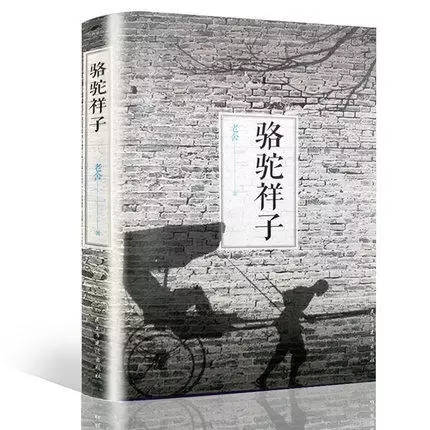 骆驼祥子第五章好词好句（好句好段加赏析）