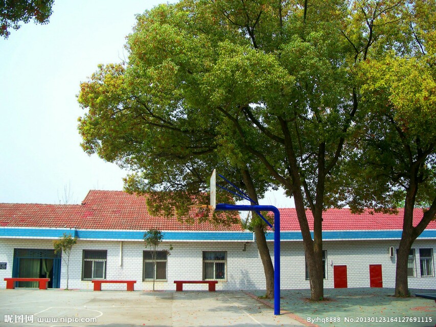 描写学校环境的句子都有哪些（赞美校园的经典短句）