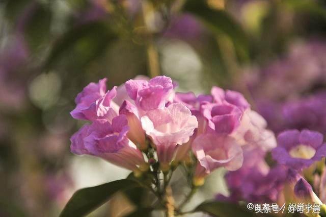 人生苦短的句子心情说说（人生哲理的句子经典）