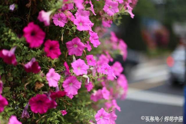 人生苦短的句子心情说说（人生哲理的句子经典）