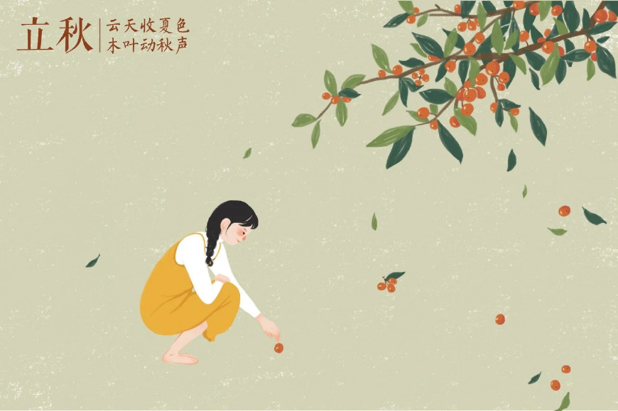 风的诗句唯美的诗句（赞美风的优美诗句）