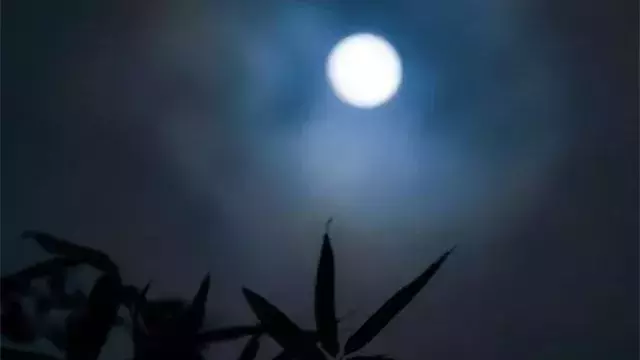 月亮有关的诗句有哪些（月亮的经典诗词 ）