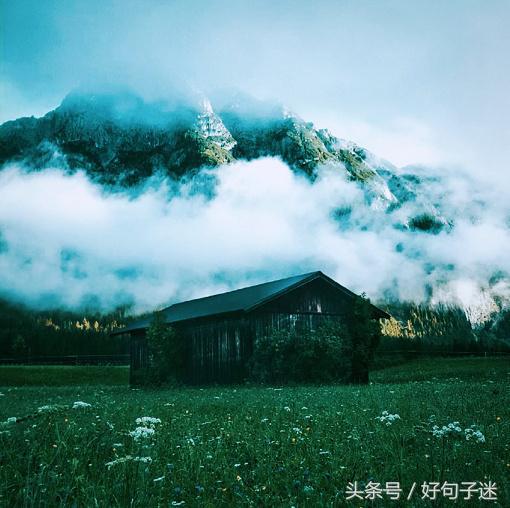 成长感悟的句子摘抄（每日感悟收获一句话）