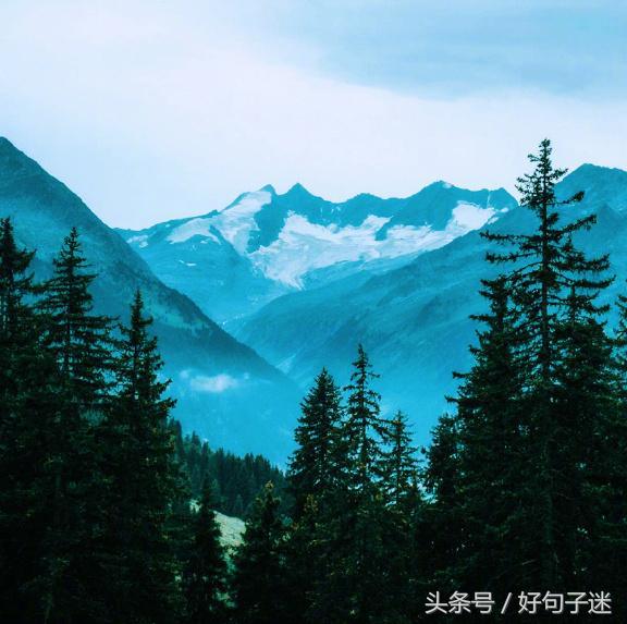 成长感悟的句子摘抄（每日感悟收获一句话）